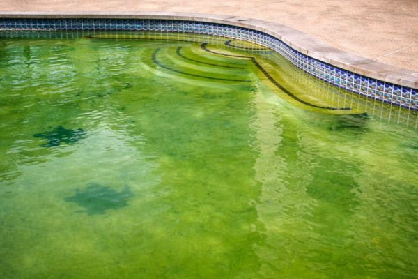 green pool clean ups & acid washing oatlands
