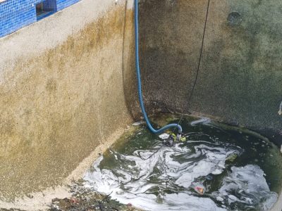 pool service parramatta area nsw